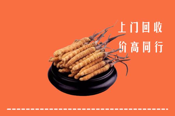 高价求购：乡城县回收散虫草