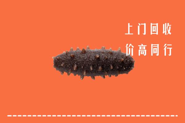 乡城县回收海参