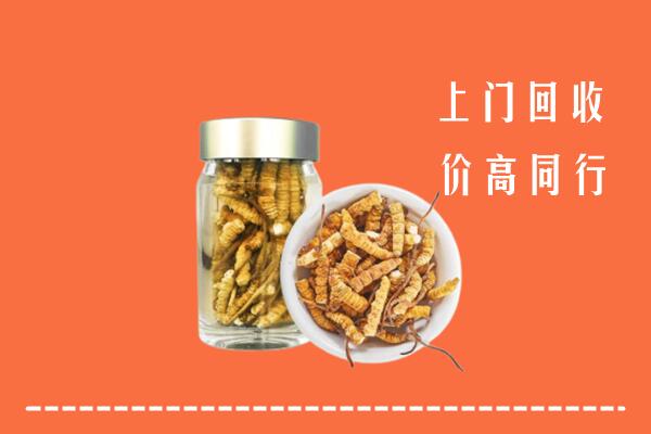 乡城县回收冬虫夏草